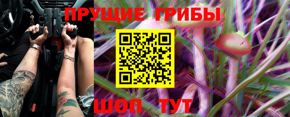 Псилоцибиновые грибы Cubensis Трёхгорный